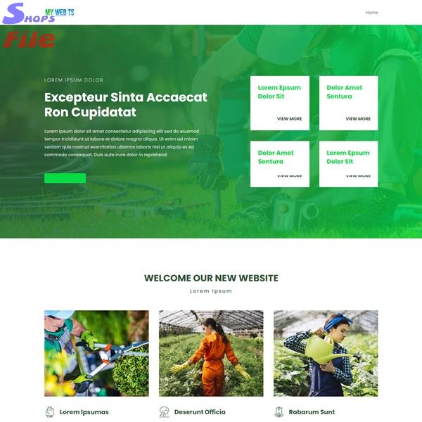 21 Pagina web por solo 6€ al año. Diseño web personalizado sin compromiso