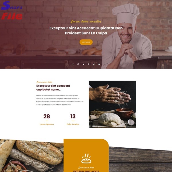 12 Pagina web por solo 6€ al año. Diseño web personalizado sin compromiso