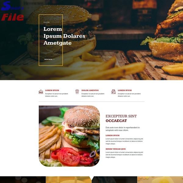 4 Pagina web por solo 6€ al año. Diseño web personalizado sin compromiso