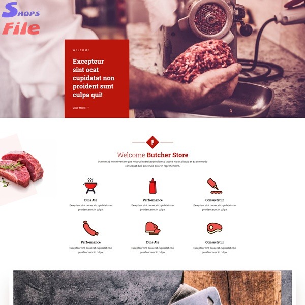 15 Pagina web por solo 6€ al año. Diseño web personalizado sin compromiso