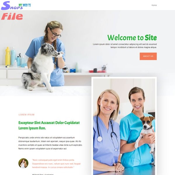 2 Diseño web personalizado, pagina web personal y para empresas