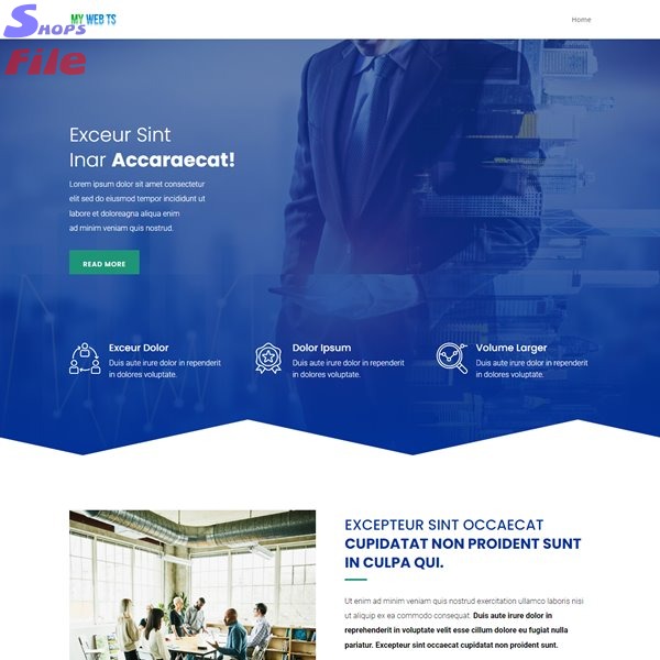 3 Diseño web personalizado, pagina web personal y para empresas