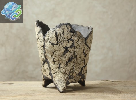 Pot rustique en grès pour plantes grasses et cactus